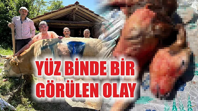 Yüz binde bir görülen olay