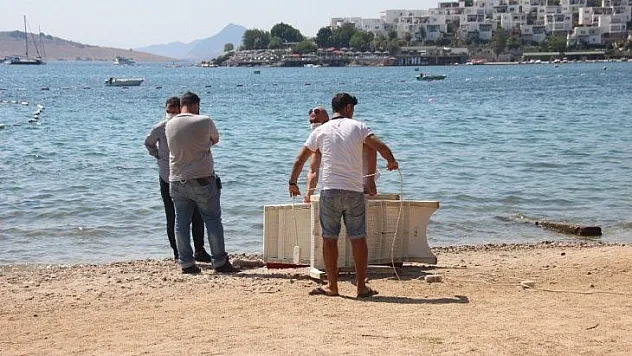 Yüzerken cesetle karşılaştılar