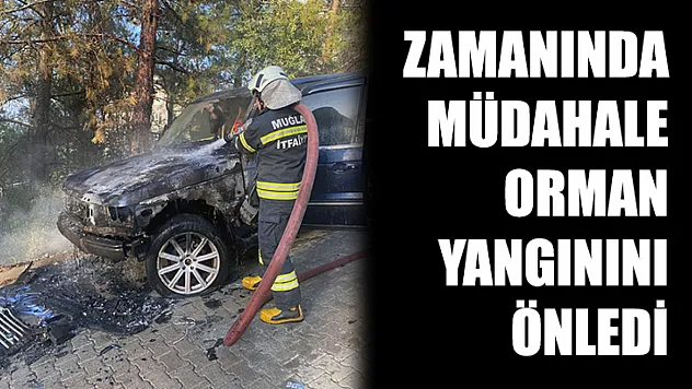 Zamanında Müdahale Orman Yangınını Önledi