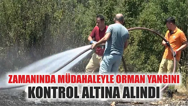 Zamanında Müdahaleyle Orman Yangını Kontrol Altına Alındı