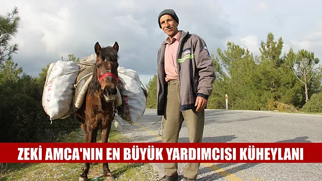 Zeki Amca'nın en büyük yardımcısı küheylanı