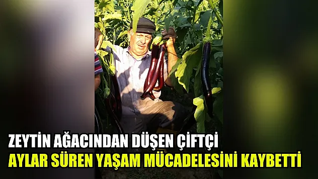 Zeytin ağacından düşen çiftçi aylar süren yaşam mücadelesini kaybetti