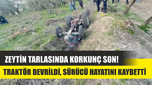 Zeytin tarlasında korkunç son! Traktör devrildi, sürücü hayatını kaybetti