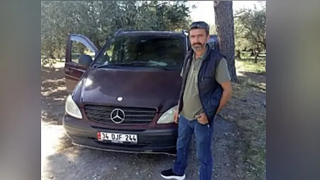 Zeytin toplarken arı soktu hayatını kaybetti