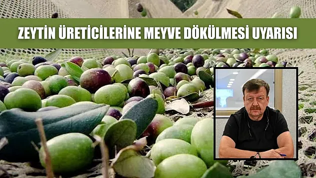 Zeytin üreticilerine meyve dökülmesi uyarısı
