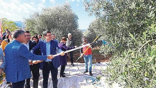 'Zeytin ve zeytinyağının başkenti Muğla'dır'