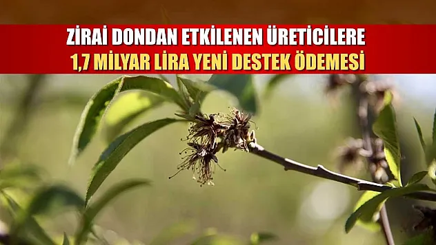 Zirai dondan etkilenen üreticilere 1,7 milyar lira yeni destek ödemesi