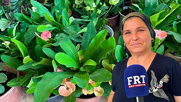 Fethiye'de yaz sıcaklarına karşı çiçek bakımının püf noktaları
