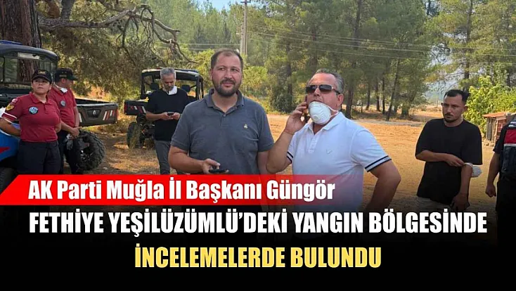 AK Parti Muğla İl Başkanı Güngör, Fethiye Yeşilüzümlü'deki Yangın Bölgesinde İncelemelerde Bulundu