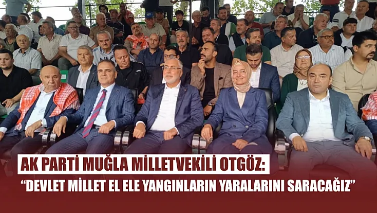 AK Parti Muğla Milletvekili Otgöz: 'Devlet millet el ele yangınların yaralarını saracağız'