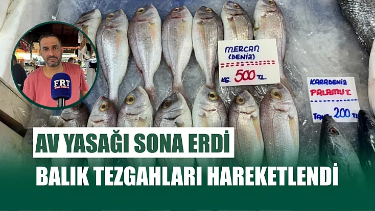 Av Yasağı Sona Erdi, Balık Tezgahları Hareketlendi