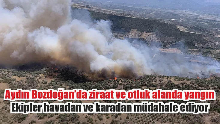 Aydın Bozdoğan’da ziraat ve otluk alanda yangın: Ekipler havadan ve karadan müdahale ediyor