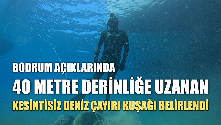 Bodrum açıklarında 40 metre derinliğe uzanan kesintisiz deniz çayırı kuşağı belirlendi