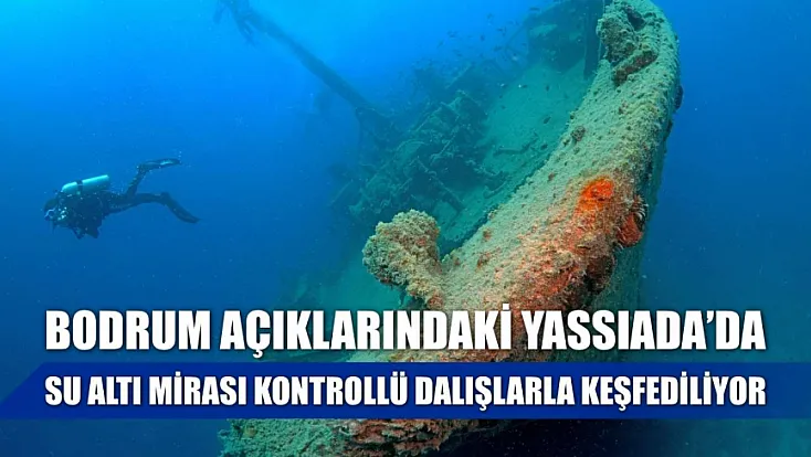 Bodrum açıklarındaki Yassıada'da su altı mirası kontrollü dalışlarla keşfediliyor