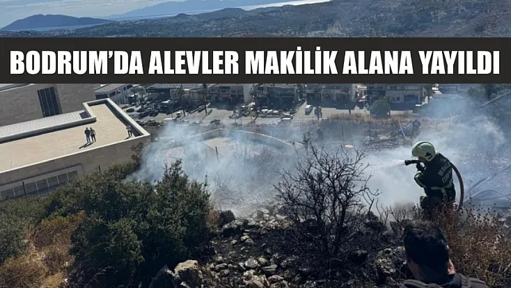 Bodrum’da alevler makilik alana yayıldı