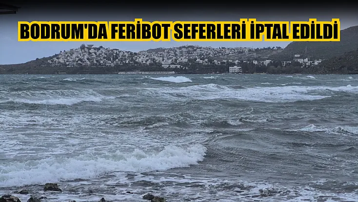 Bodrum'da feribot seferleri iptal edildi
