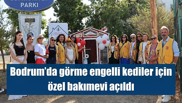 Bodrum'da görme engelli kediler için özel bakımevi açıldı