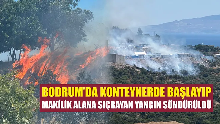 Bodrum'da konteynerde başlayıp makilik alana sıçrayan yangın söndürüldü