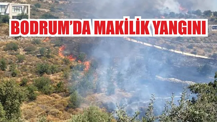 Bodrum’da makilik yangını