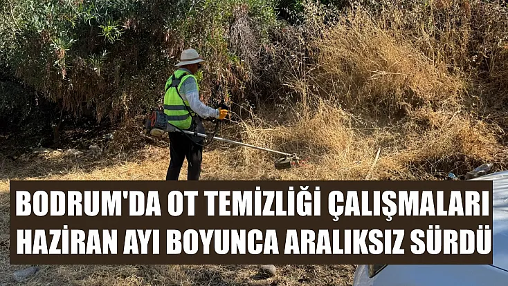 Bodrum'da ot temizliği çalışmaları Haziran ayı boyunca aralıksız sürdü