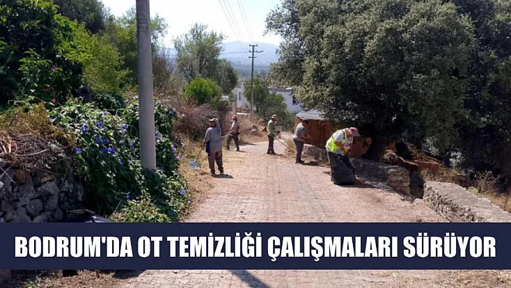 Bodrum'da ot temizliği çalışmaları sürüyor