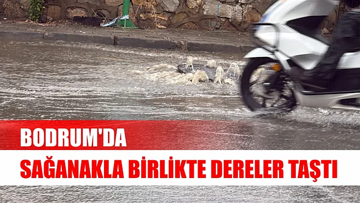 Bodrum'da sağanakla birlikte dereler taştı