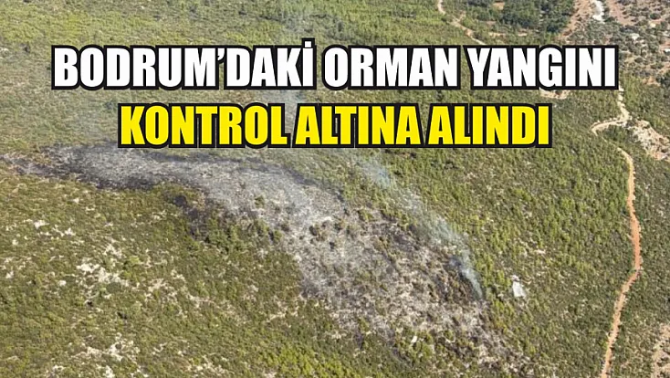 Bodrum’daki orman yangını kontrol altına alındı