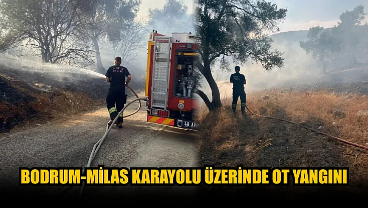 Bodrum-Milas karayolu üzerinde ot yangını