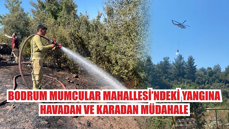 Bodrum Mumcular Mahallesi’ndeki Yangına Havadan ve Karadan Müdahale