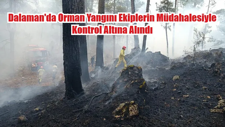 Dalaman'da Orman Yangını Ekiplerin Müdahalesiyle Kontrol Altına Alındı