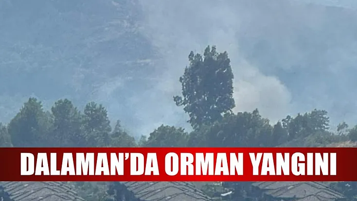 Dalaman'da orman yangını