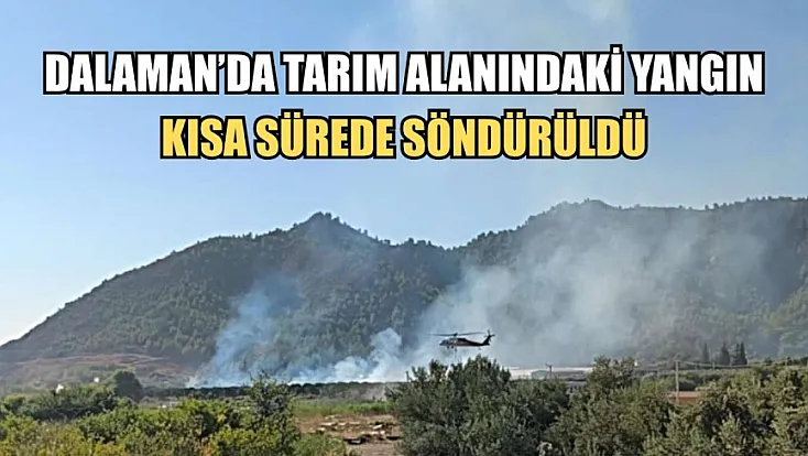 Dalaman'da tarım alanındaki yangın kısa sürede söndürüldü