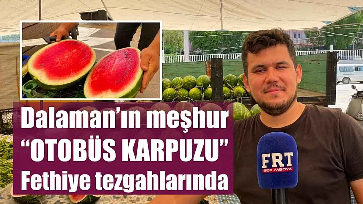 Dalaman'ın meşhur 'Otobüs Karpuzu' Fethiye tezgahlarında