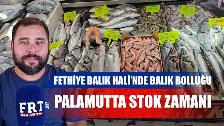 Fethiye Balık Hali’nde balık bolluğu: Palamutta stok zamanı