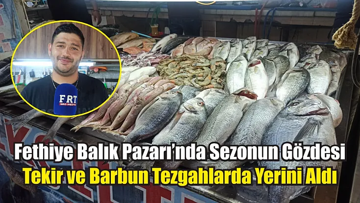Fethiye Balık Pazarı’nda Sezonun Gözdesi Tekir ve Barbun Tezgahlarda Yerini Aldı