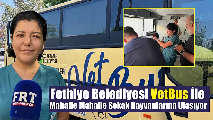 Fethiye Belediyesi VetBus ile Mahalle Mahalle Sokak Hayvanlarına Ulaşıyor