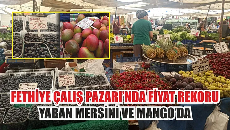 Fethiye Çalış Pazarı’nda Fiyat Rekoru Yaban Mersini ve Mango’da
