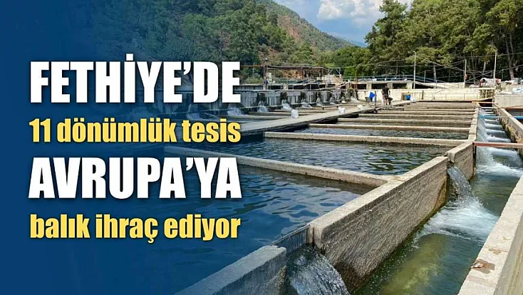 Fethiye'de 11 dönümlük tesis Avrupa'ya balık ihraç ediyor