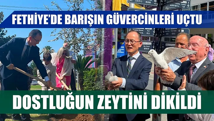 Fethiye'de barışın güvercinleri uçtu, dostluğun zeytini dikildi