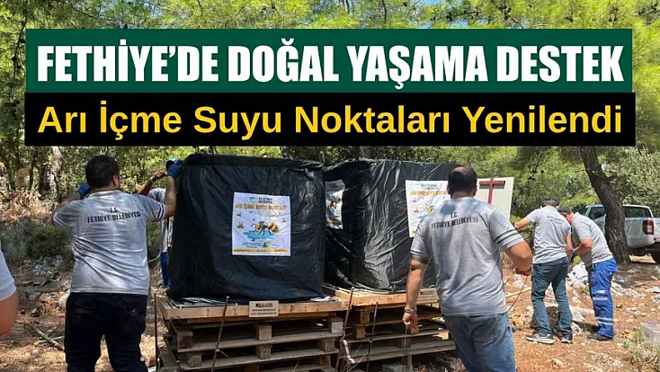 Fethiye'de Doğal Yaşama Destek: Arı İçme Suyu Noktaları Yenilendi