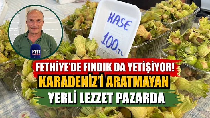 Fethiye’de Fındık da Yetişiyor! Karadeniz’i Aratmayan Yerli Lezzet Pazarda