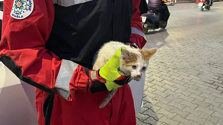 Fethiye’de kaputa giren kedi için seferber oldular