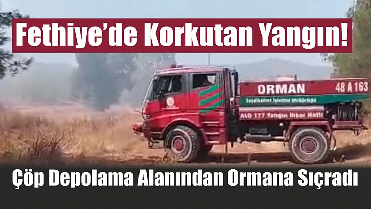 Fethiye’de korkutan yangın! Çöp depolama alanından ormana sıçradı