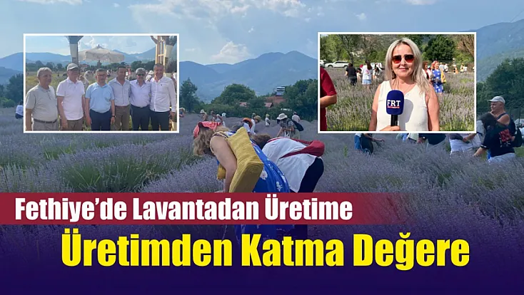 Fethiye'de lavantadan üretime, üretimden katma değere