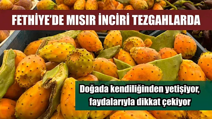 Fethiye'de mısır inciri tezgahlarda: Doğada kendiliğinden yetişiyor, faydalarıyla dikkat çekiyor