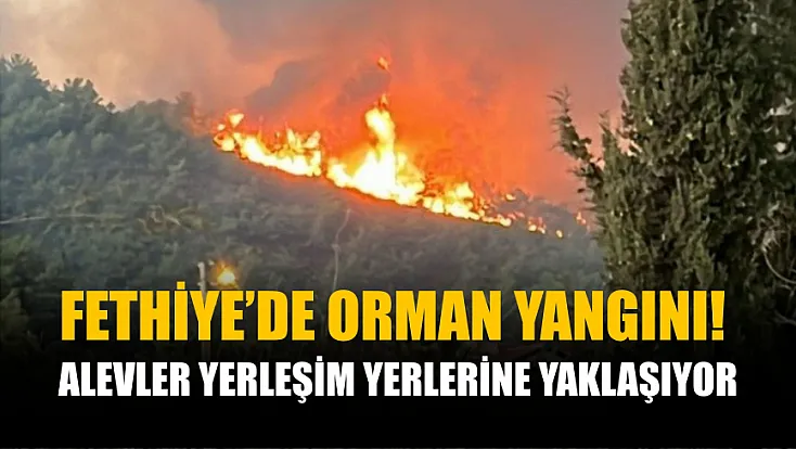 Fethiye’de Orman Yangını! Alevler Yerleşim Yerlerine Yaklaşıyor