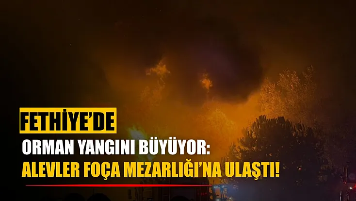 Fethiye’de orman yangını büyüyor: Alevler Foça Mezarlığı’na ulaştı