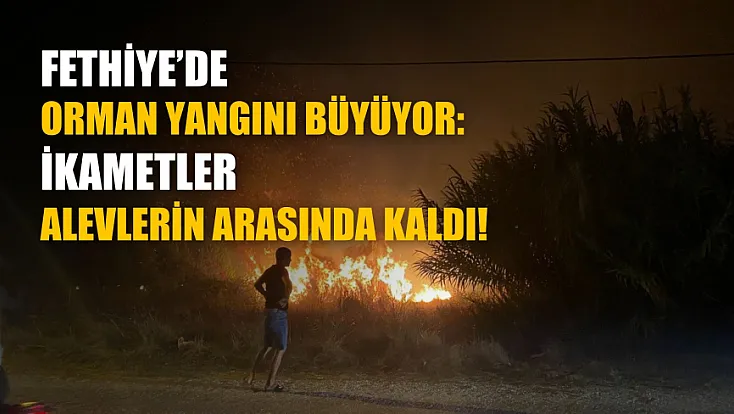 Fethiye’de orman yangını büyüyor: İkametler alevlerin arasında kaldı