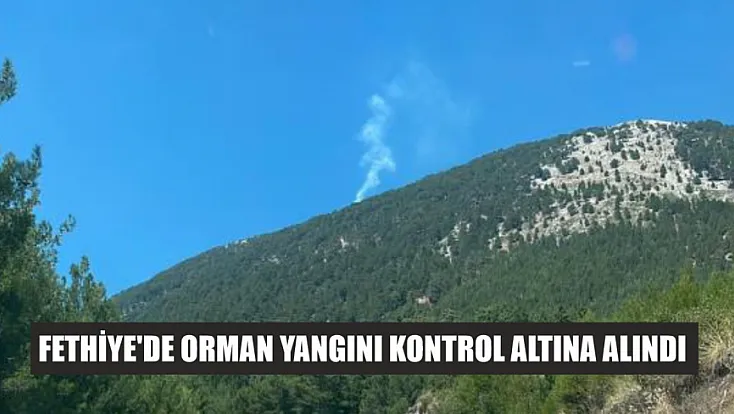 Fethiye'de orman yangını kontrol altına alındı
