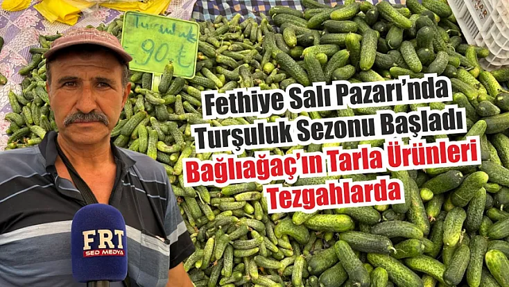 Fethiye Salı Pazarı’nda turşuluk sezonu başladı: Bağlıağaç’ın tarla ürünleri tezgahlarda